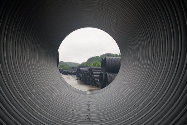 重庆麻豆国产精品VA在线观看不卡